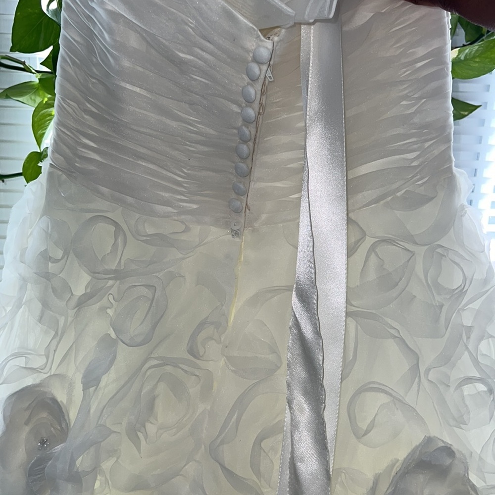 Wedding Dress - Picture 4 of 15